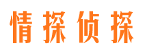 吉安找人公司